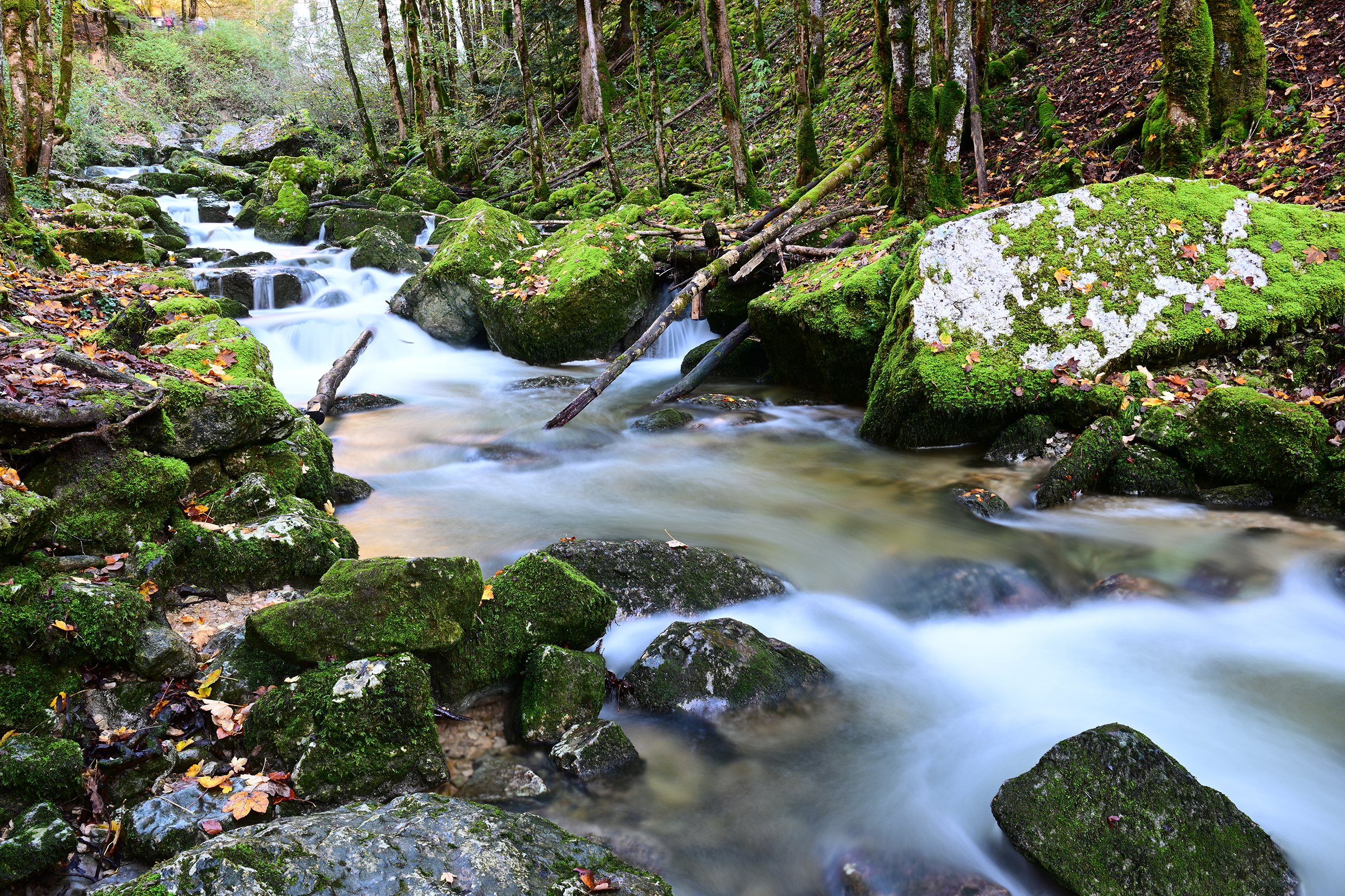 Week-End photo Nature Massif du Jura